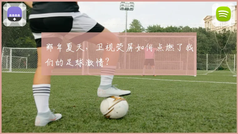 那年夏天,卫视荧屏如何点燃了我们的足球激情?