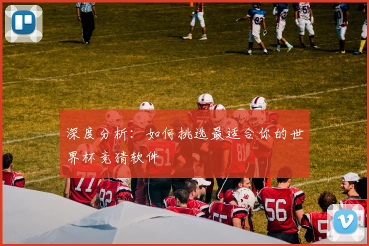深度分析：如何挑选最适合你的世界杯竞猜软件