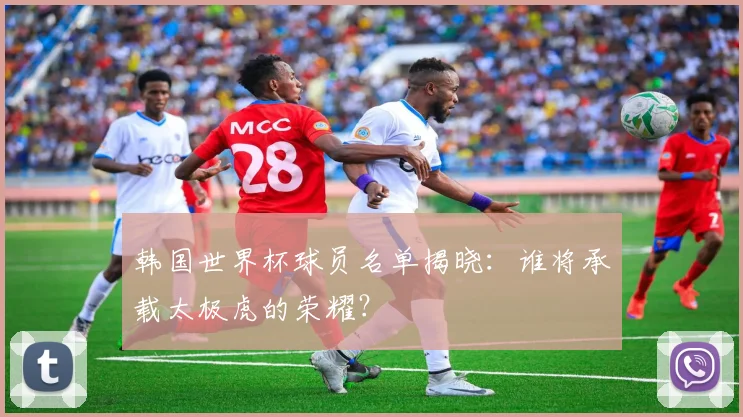 韩国世界杯球员名单揭晓：谁将承载太极虎的荣耀？