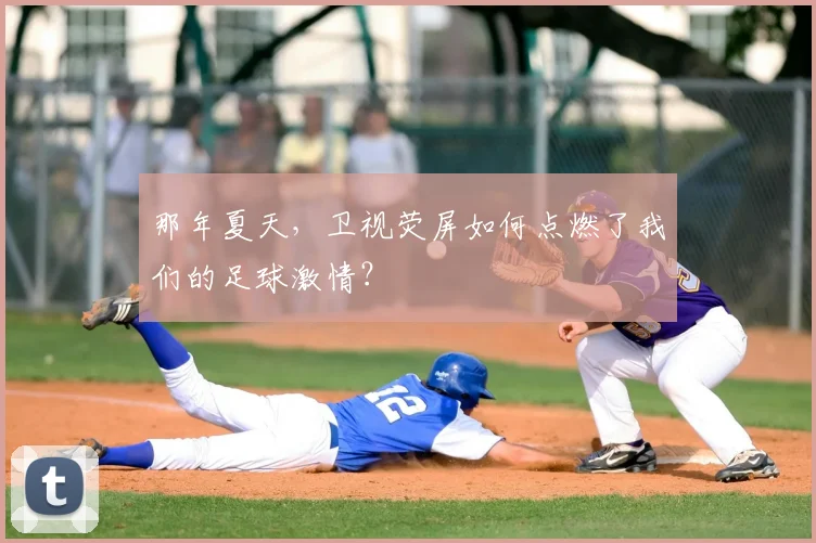 那年夏天，卫视荧屏如何点燃了我们的足球激情？